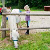 ucpa equitation 1