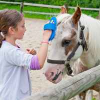 ucpa equitation 2