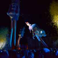 Festival 2015 - Les plasticiens volants 2