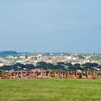 Festival - Spencer Tunick 2