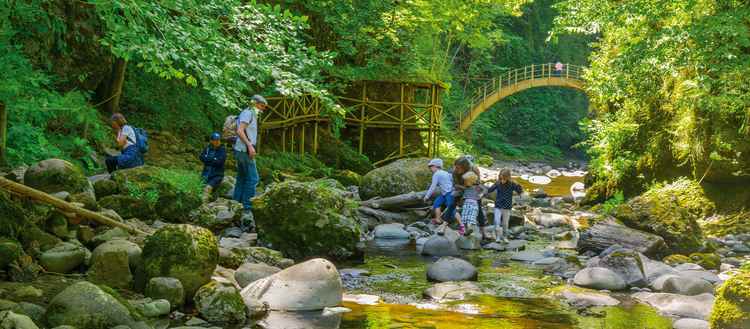 Gorges Bandeau Site